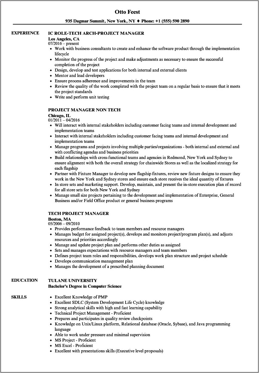 Project Manager Information Technology Resume