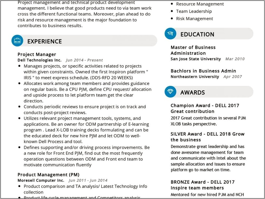 Project Manager Sample Functional Resume