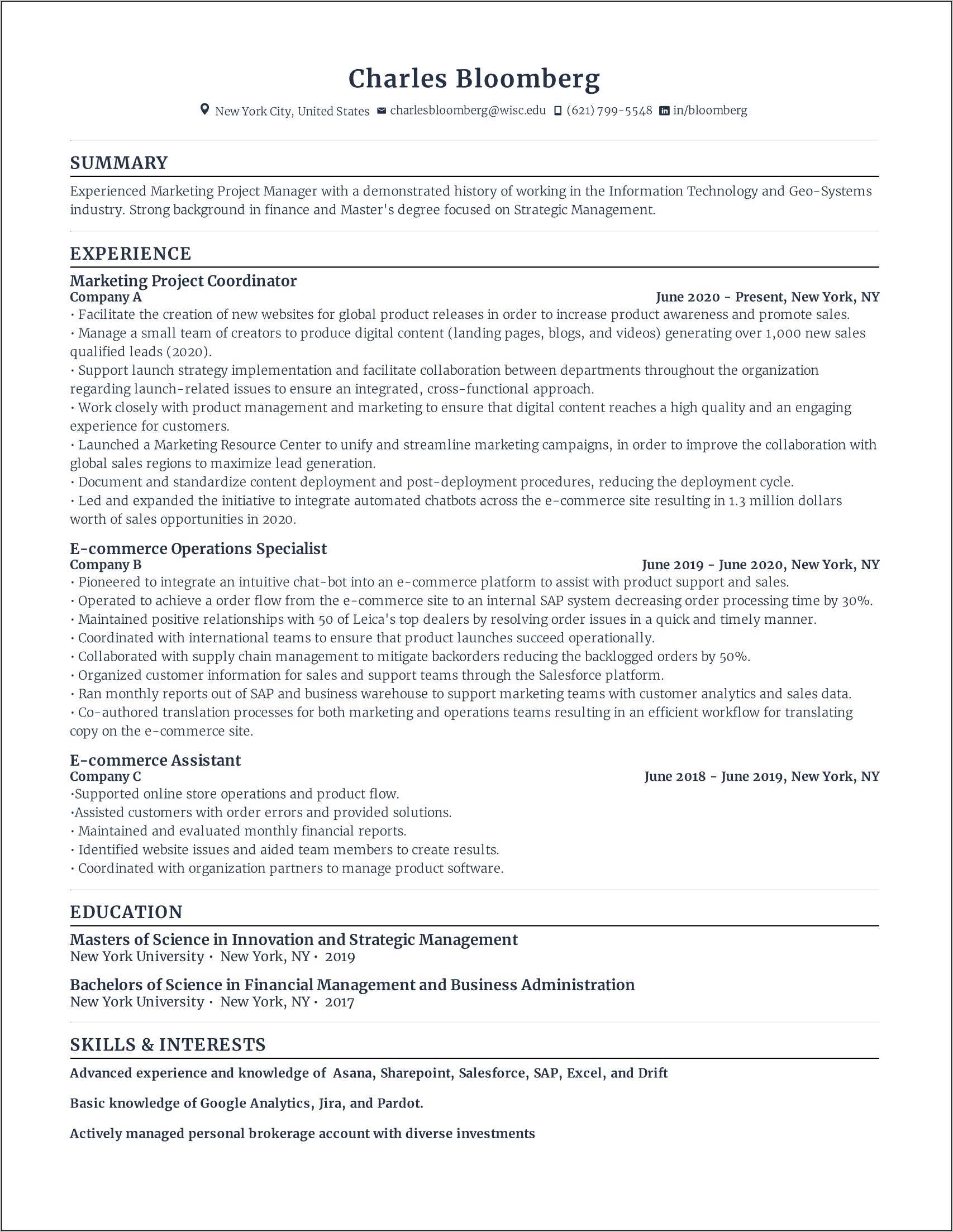 Project Manager Summary For Resume