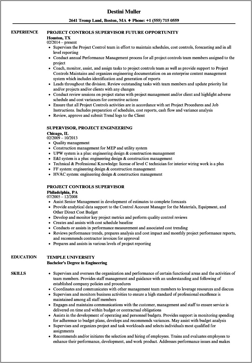 Project Supervisor Job Description Resume