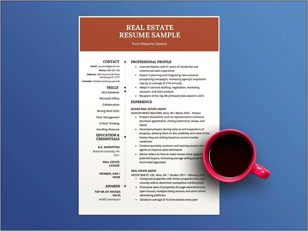 Real Estate Sales Resume Examples