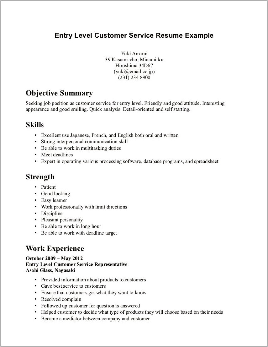 Resume Example Begineer It Jobs