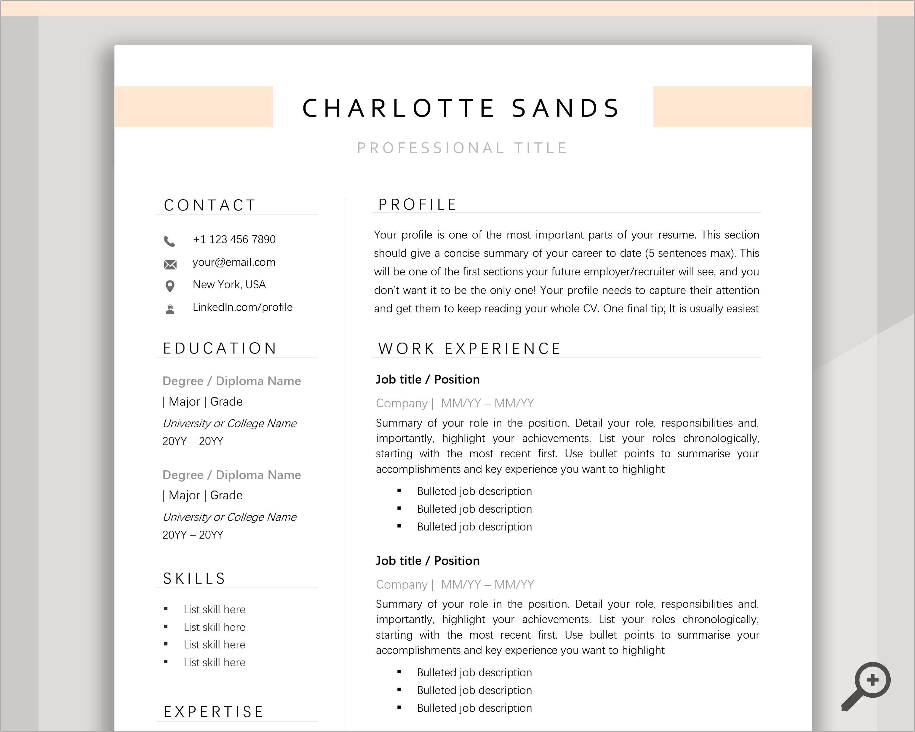 Resume Example For Students Singapore