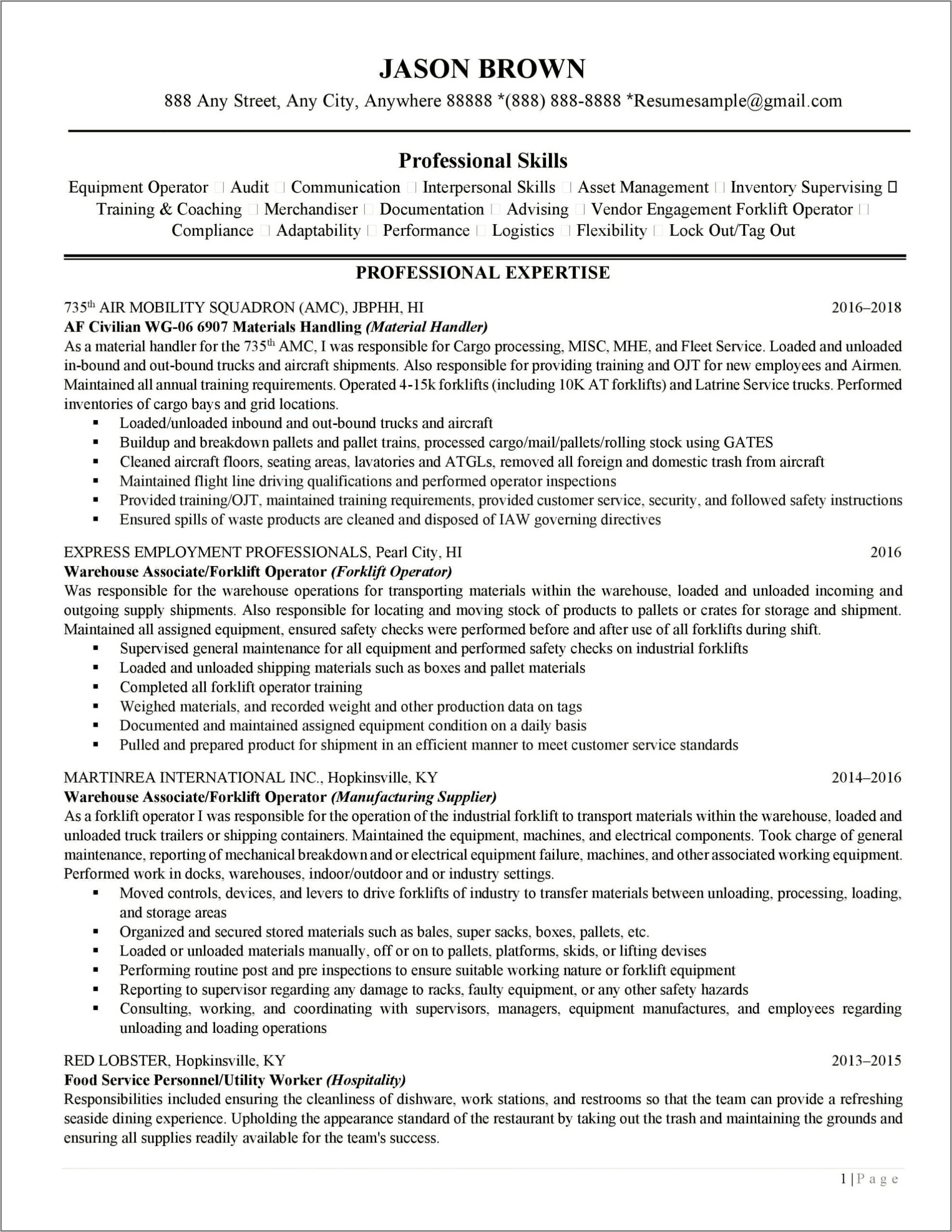 Resume Examples For Experienced Professional