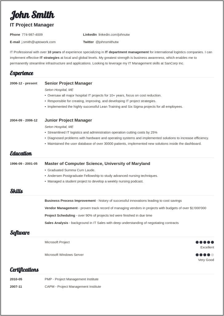 Resume Examples For It Position