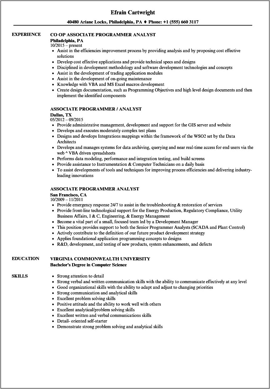 Resume Examples For Programmer Analyst