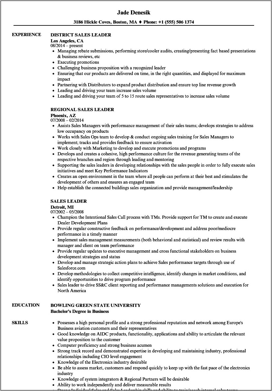 Resume Examples For Sales Leader