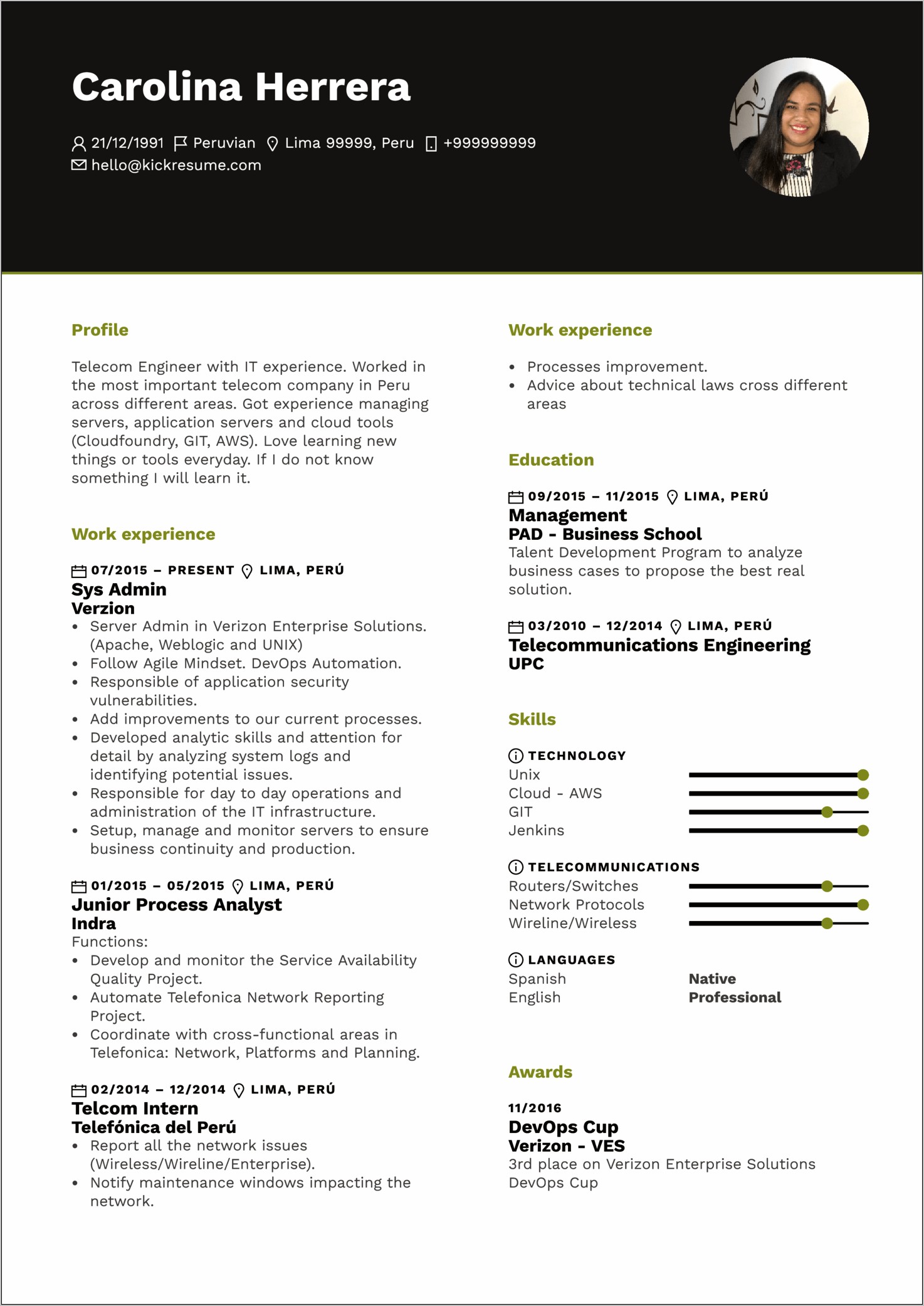 Resume Examples Skills Section Beginners