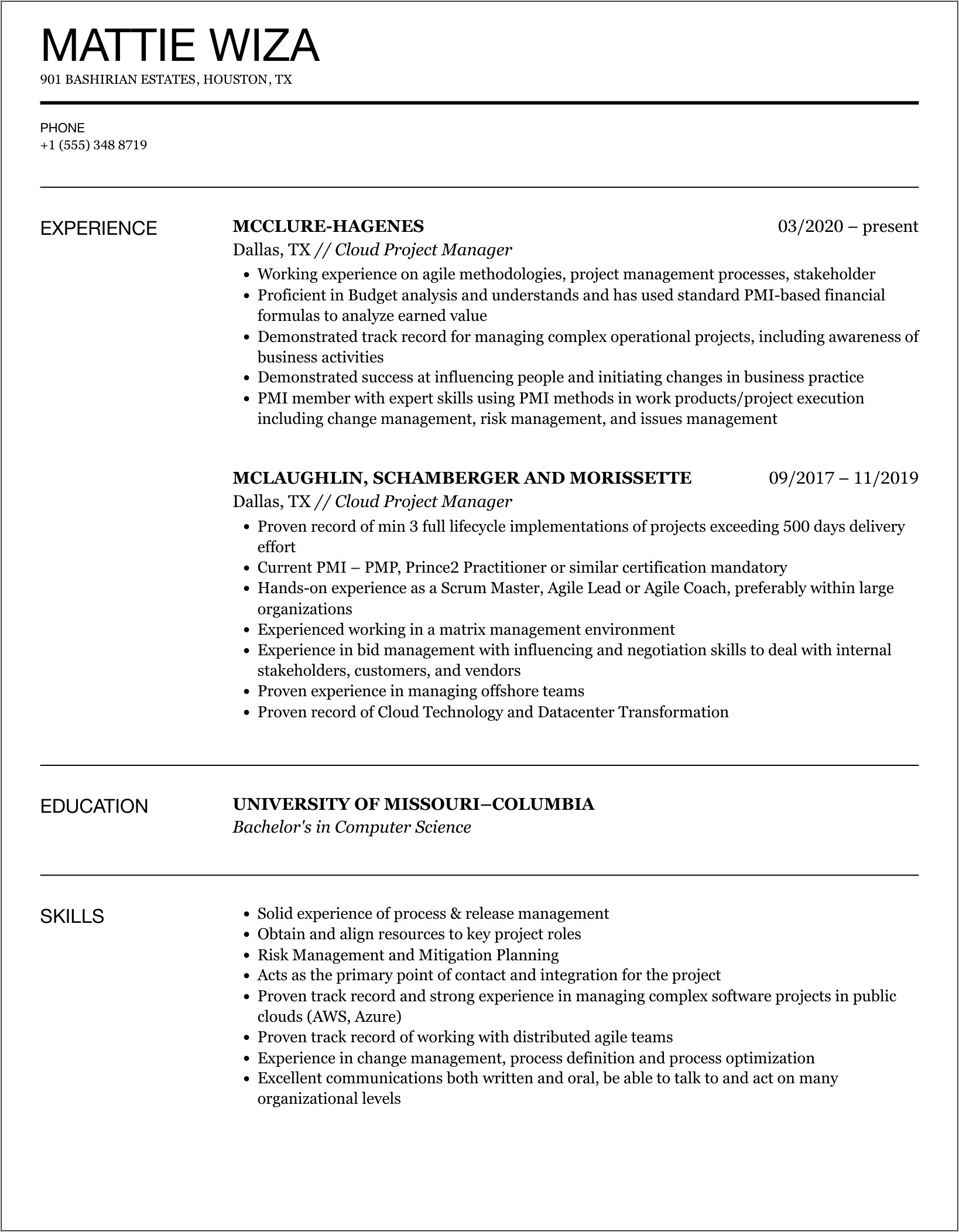 Resume For Infrastructure Project Manager