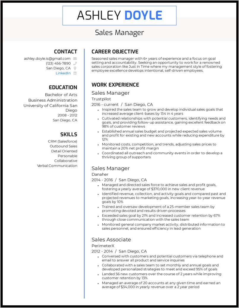Resume For Sales Manager Position