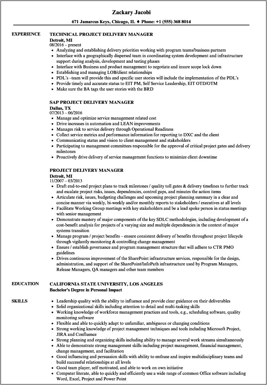 Resume For Technical Delivery Manager