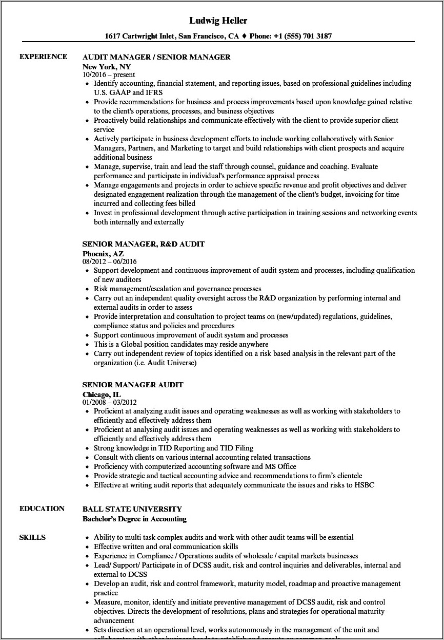 Resume Format For Audit Manager