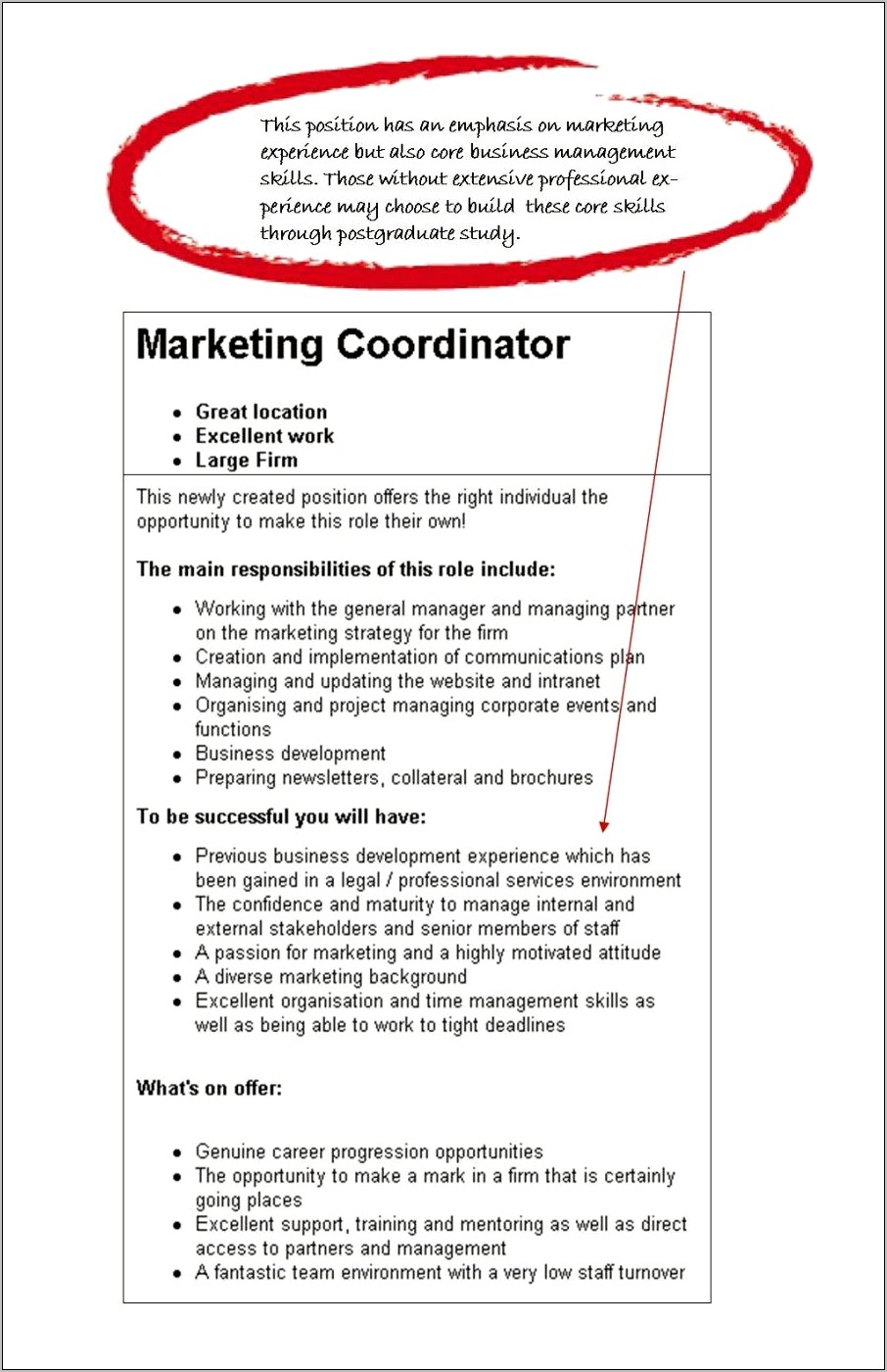 Resume Objective Examples Project Coordinator