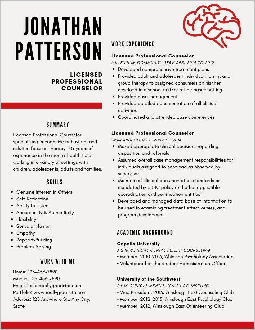 Resume Profile Examples For Counselor