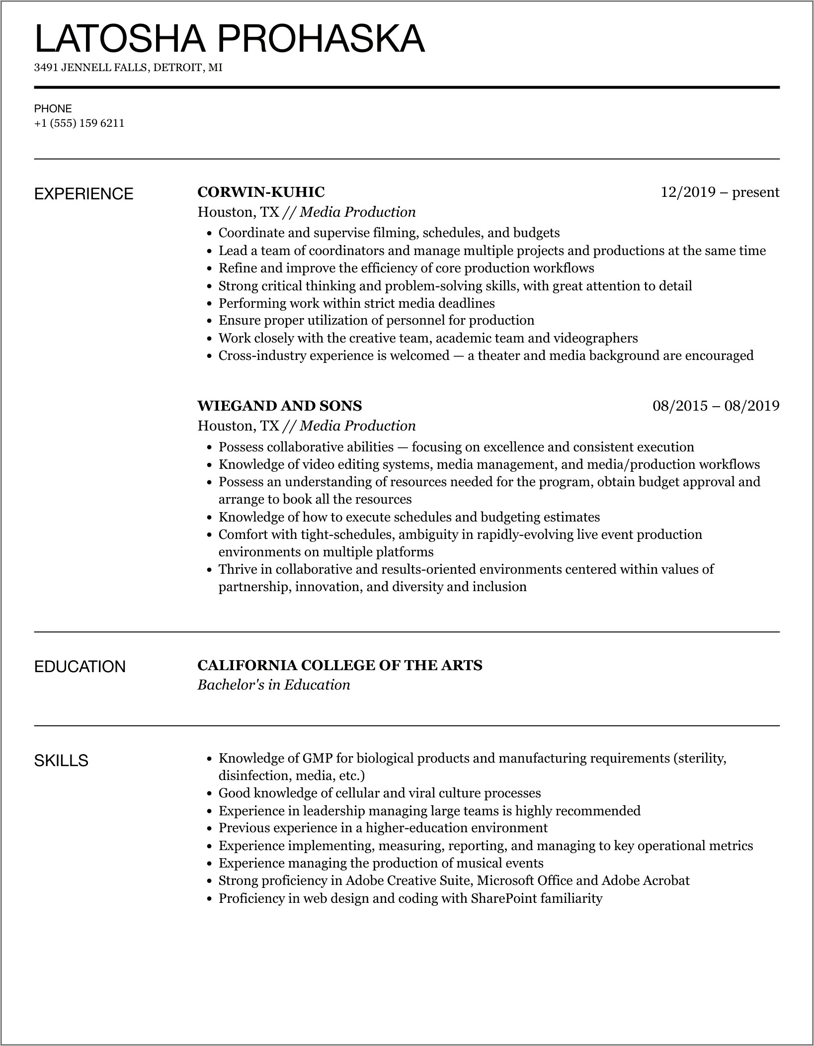 Resume Sample For Media Professional