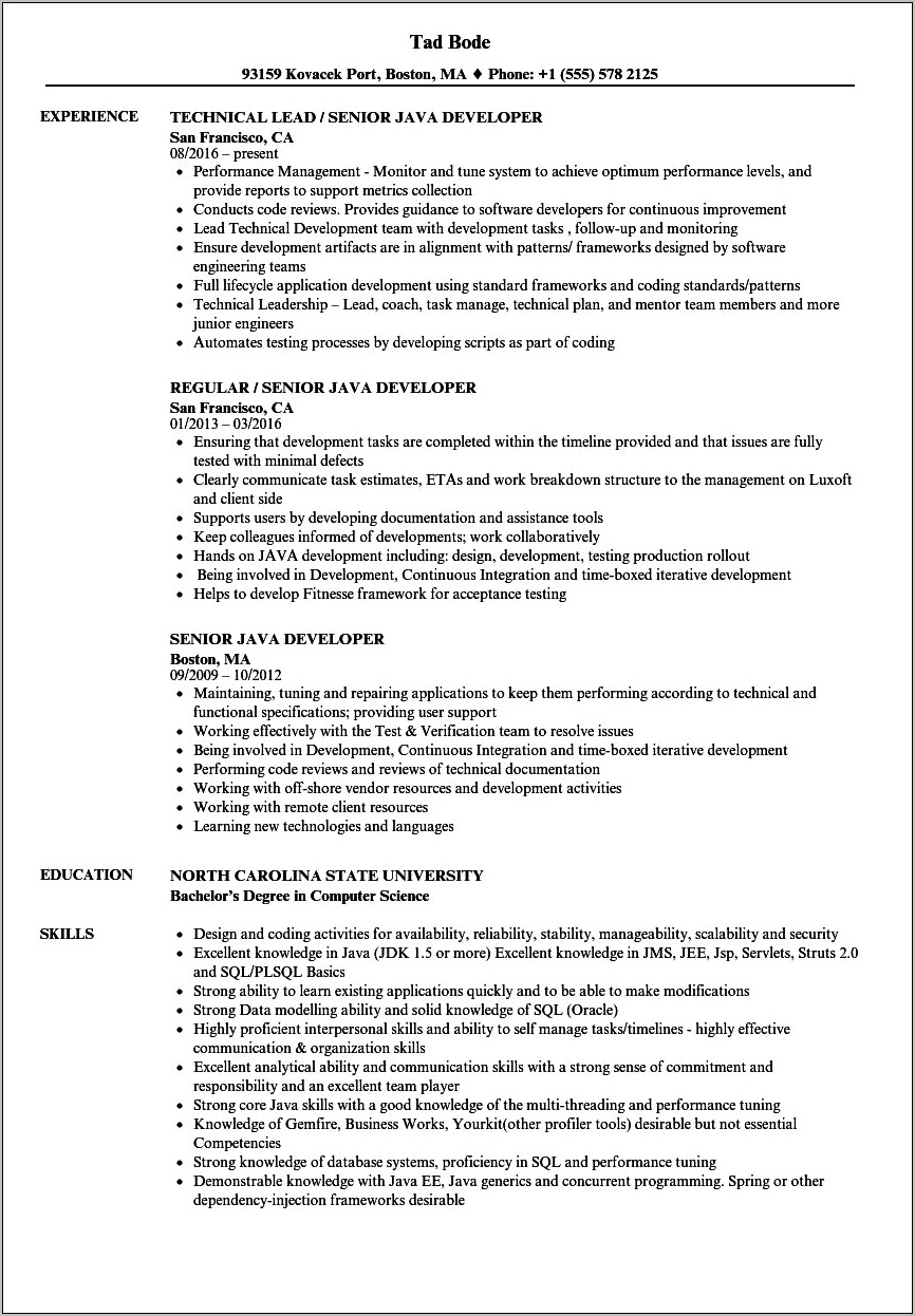 Resume Sample With Java Experience