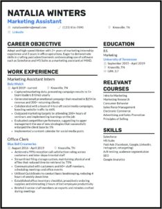 Resume Samples For Advertising Jobs