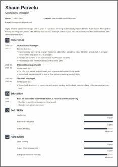 Resume Summary For Operations Manager