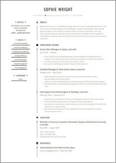 Retail Store Manager Resume Responsibilities