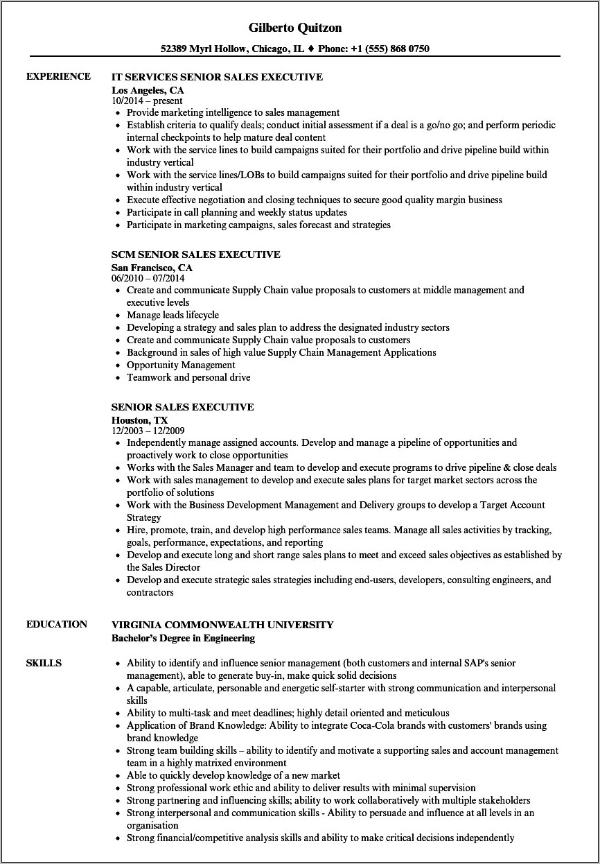 Sales Executive Skills For Resume