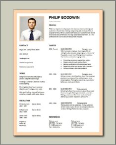 Sales Manager Profile For Resume