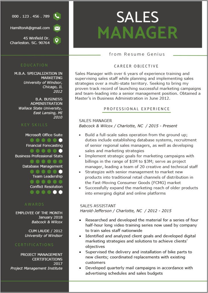 Sales Manager Resume Examples Free