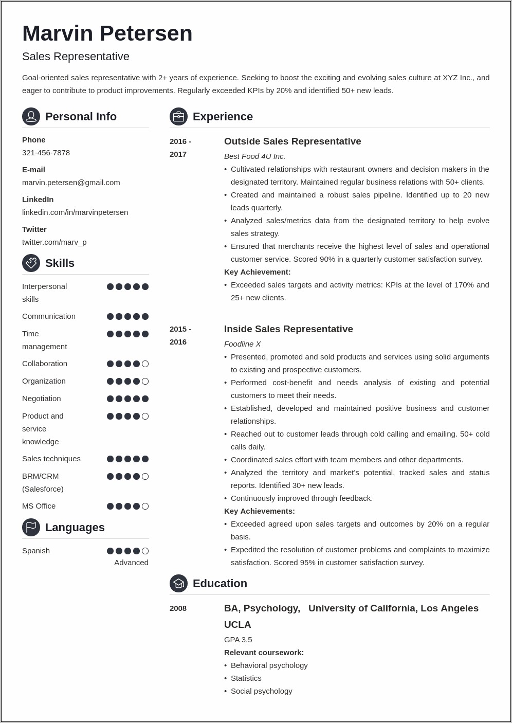 Sales Representative Resume Summary Examples