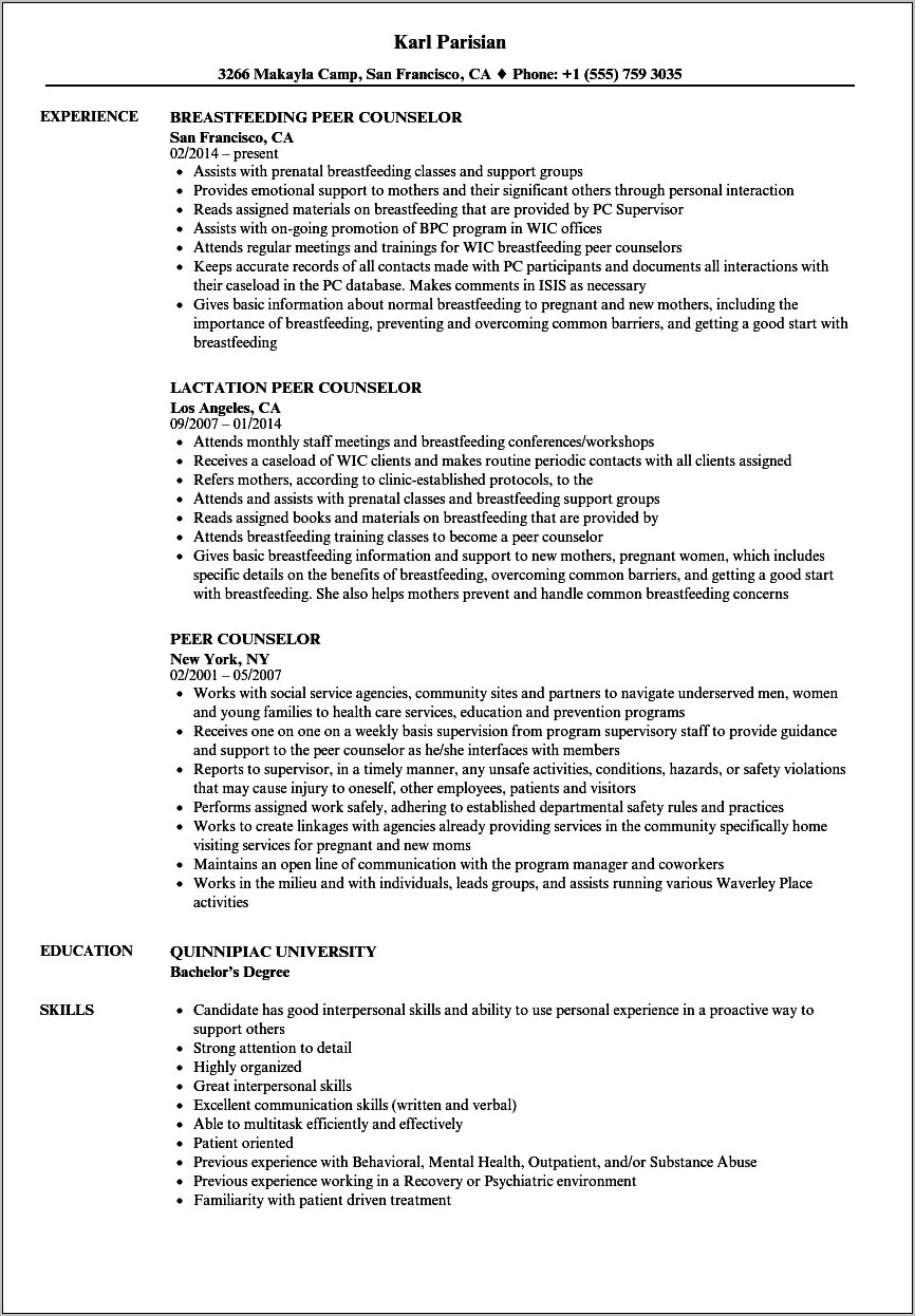 Sample Guidance Counselor Resume Example