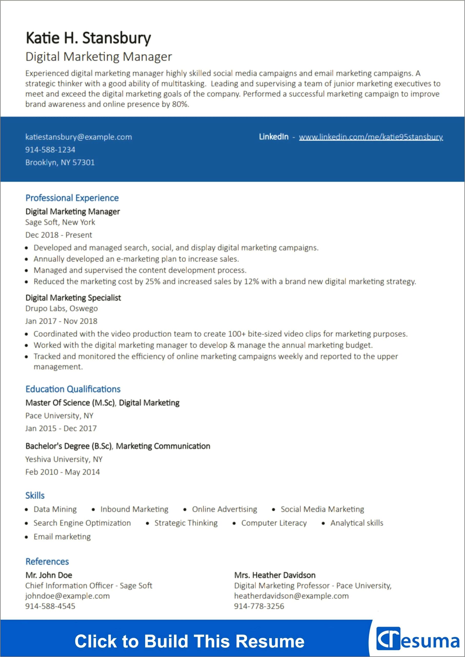 Sample Of A Marketer Resume