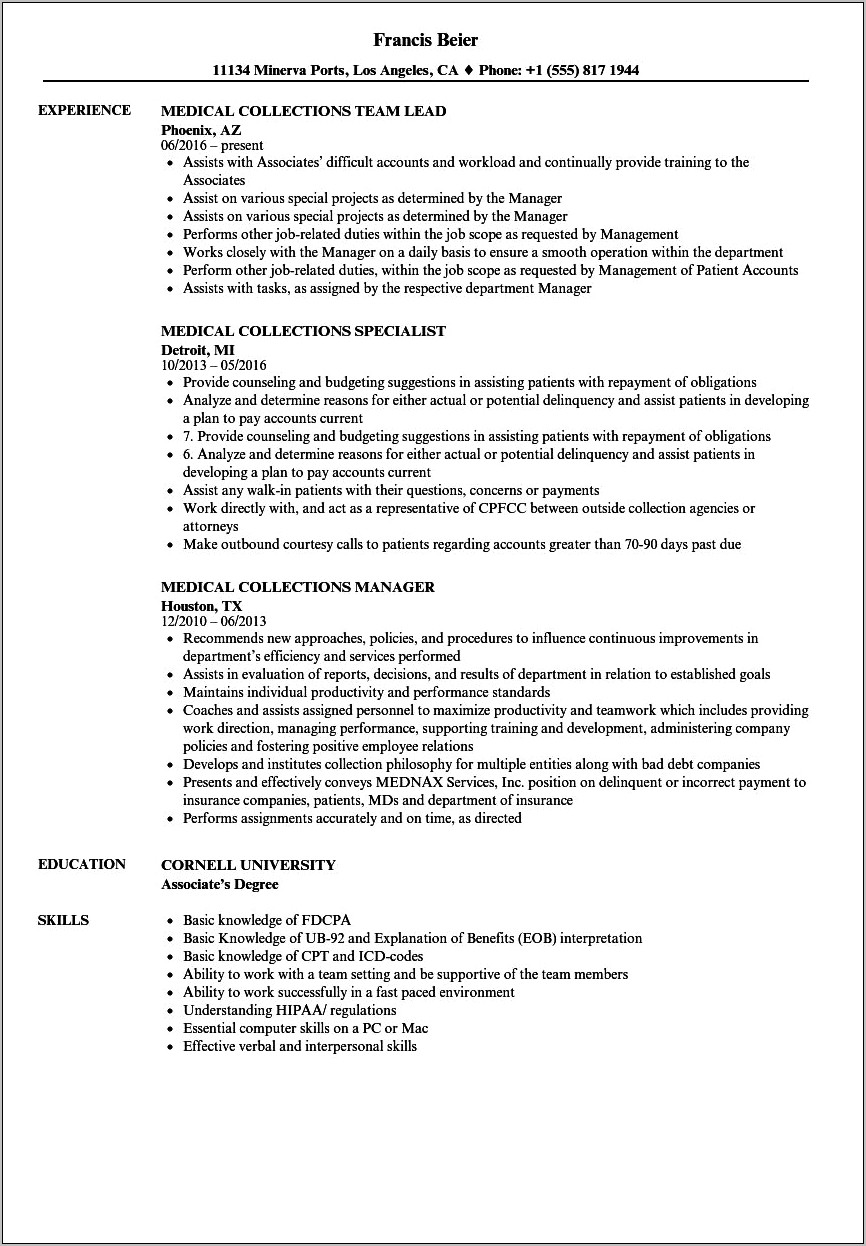 Sample Resume Description For Collections