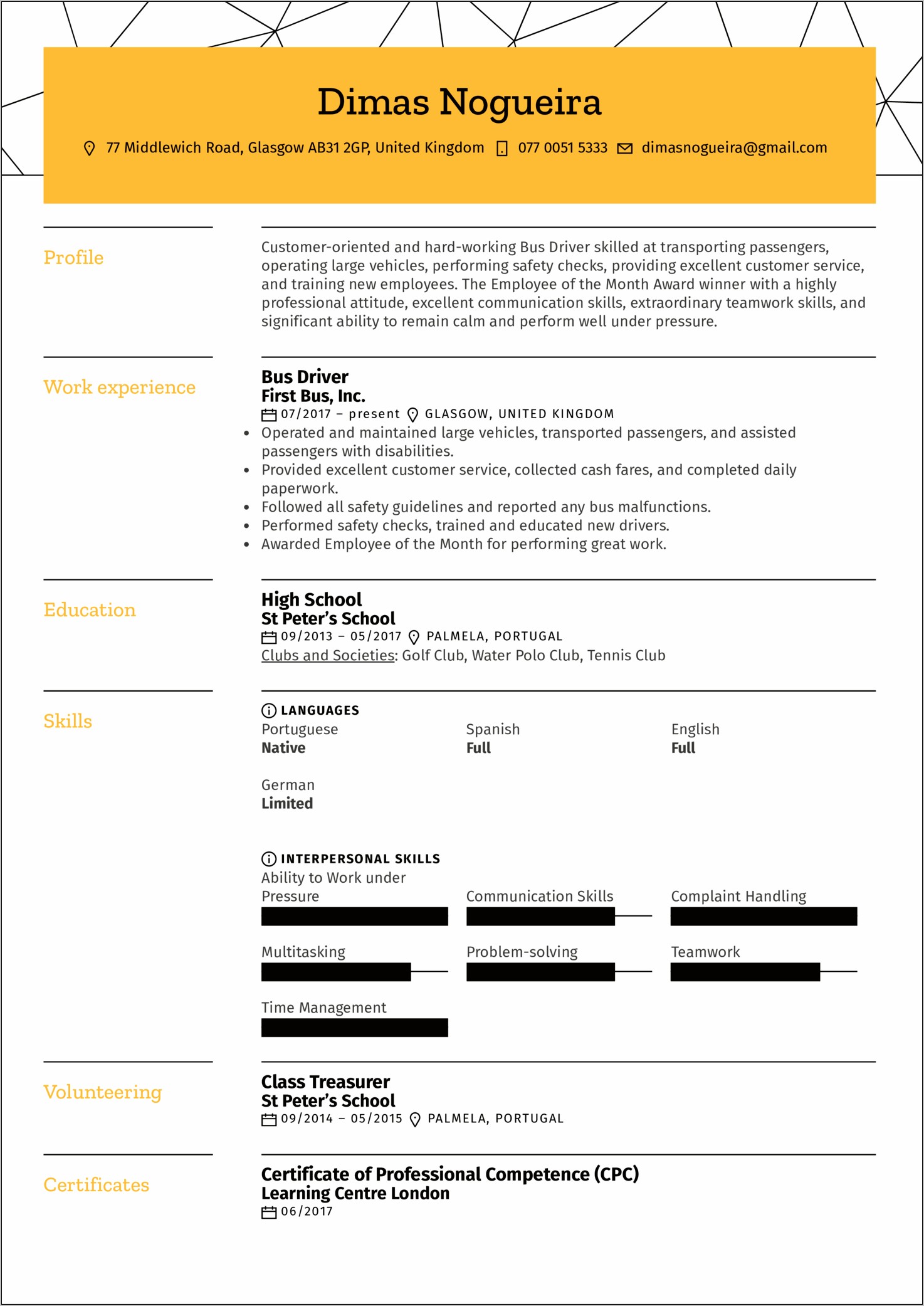 Sample Resume For Driver Job