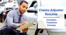 Sample Resume For Insurance Investigator