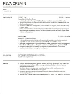 Sample Resume For Mep Coordinator