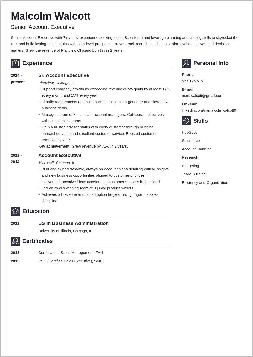 Sample Sales Account Manager Resume
