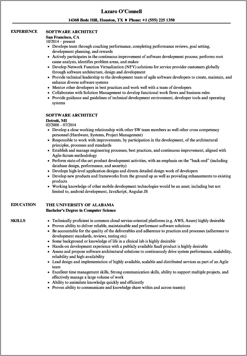 Sample Software Architect Resume Template