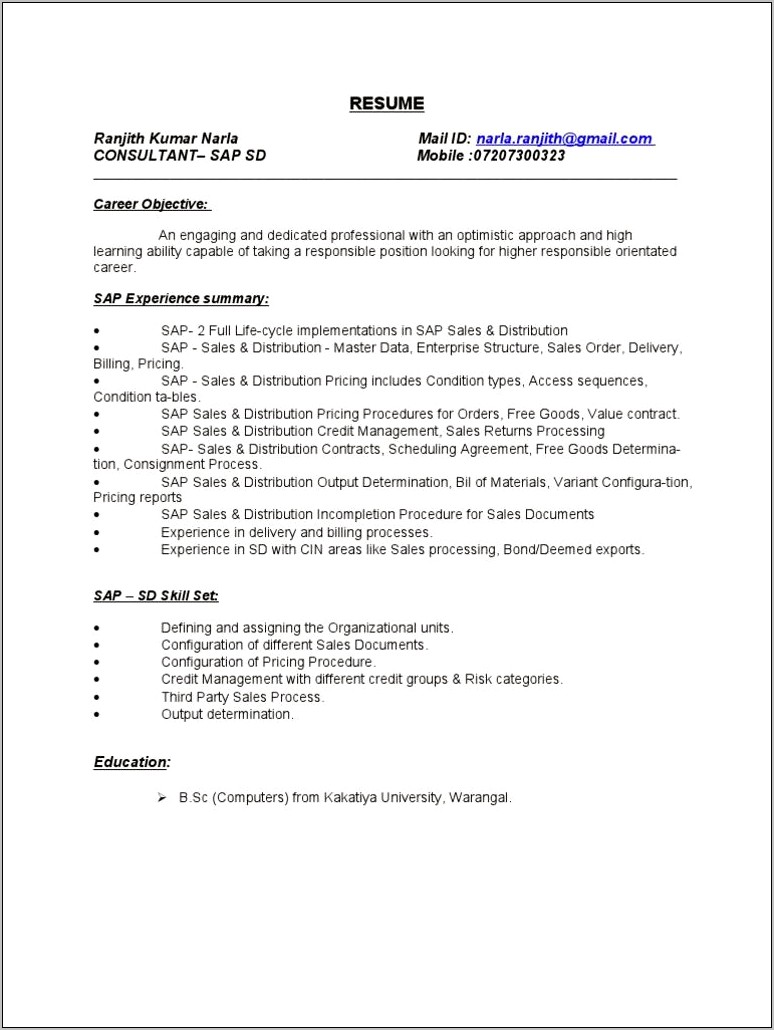 Sap Sd Consultant Resume Sample