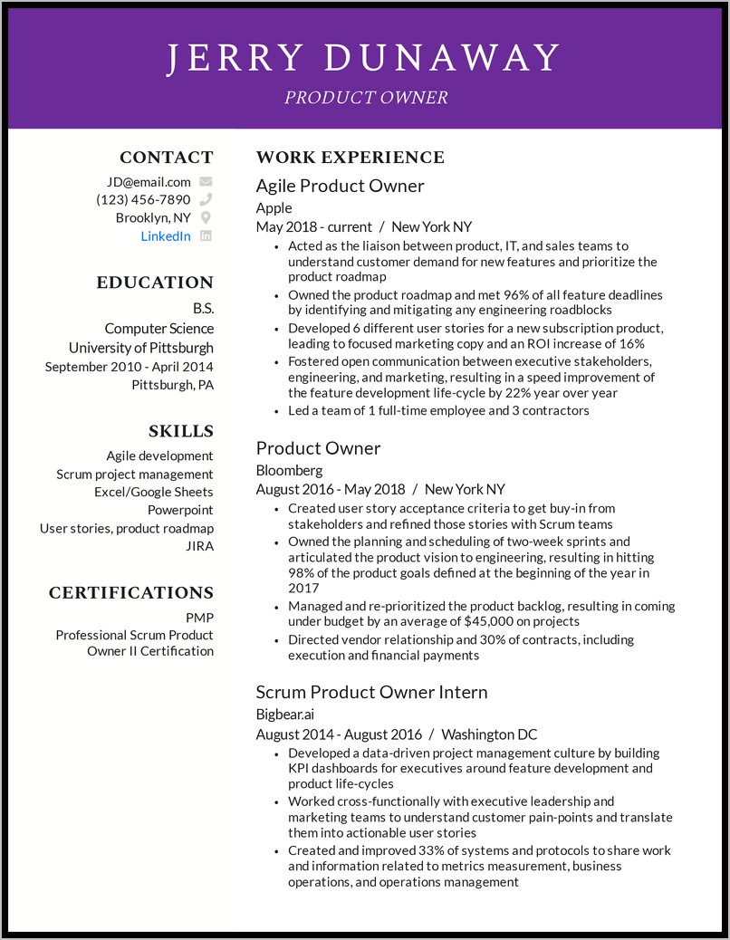 Scrum Product Owner Resume Examples