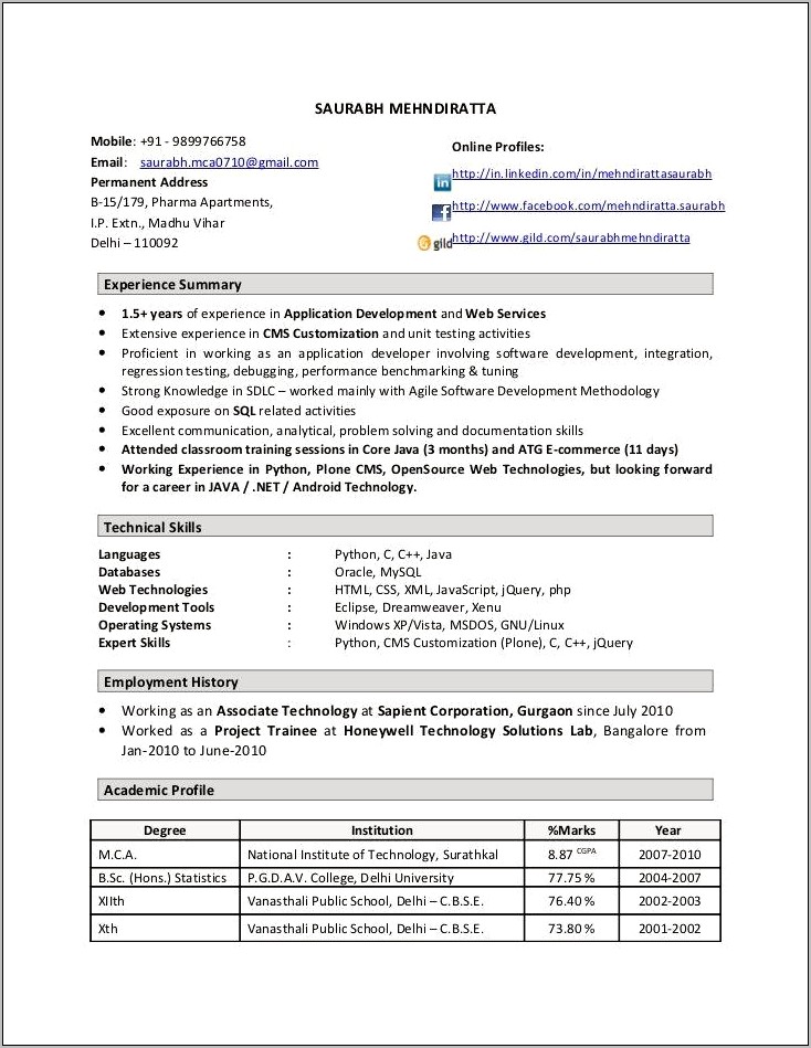 Software Developer Sample Resume Download