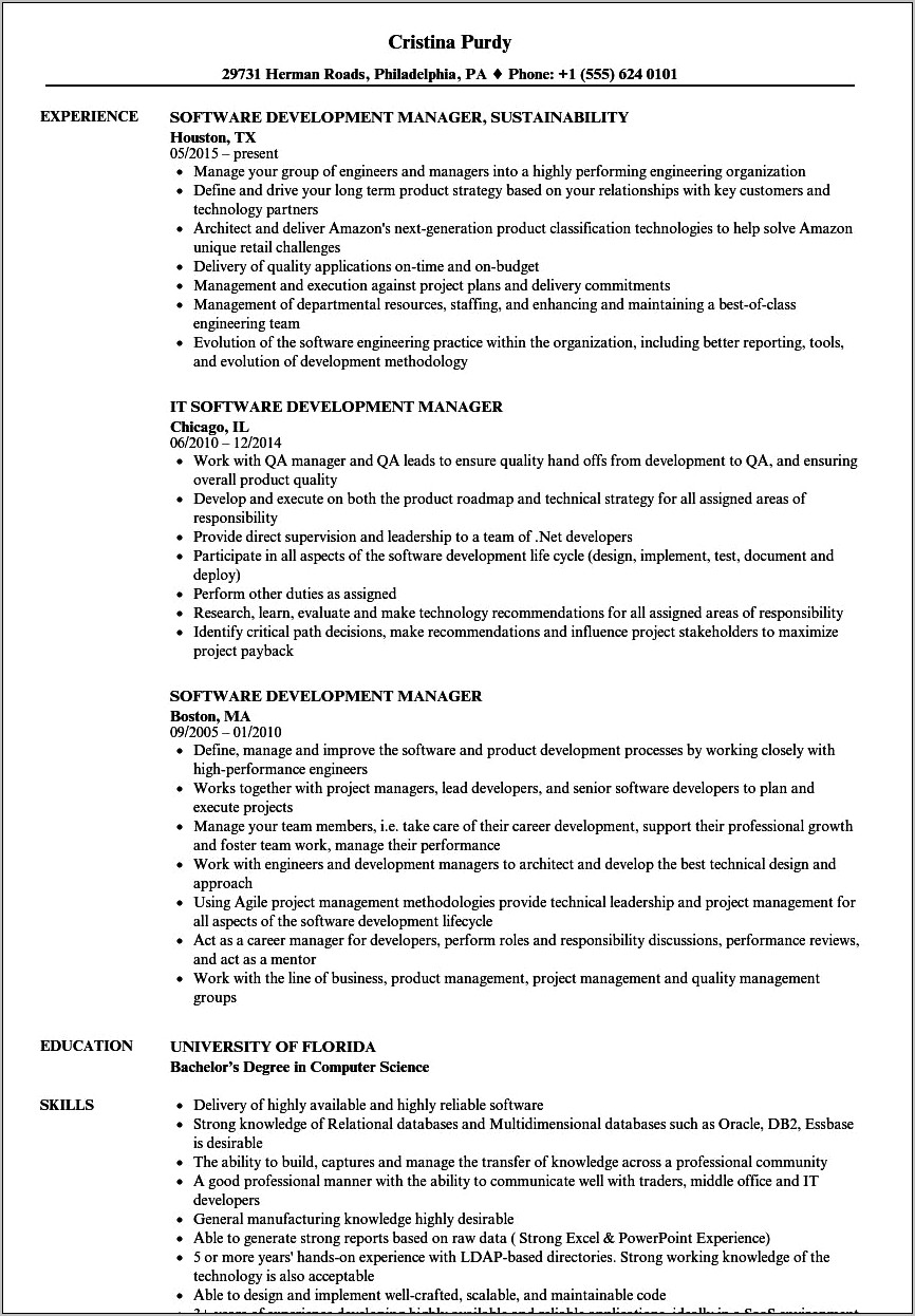 Software Development Manager Resume India