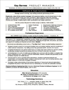 Software Project Manager Resume India