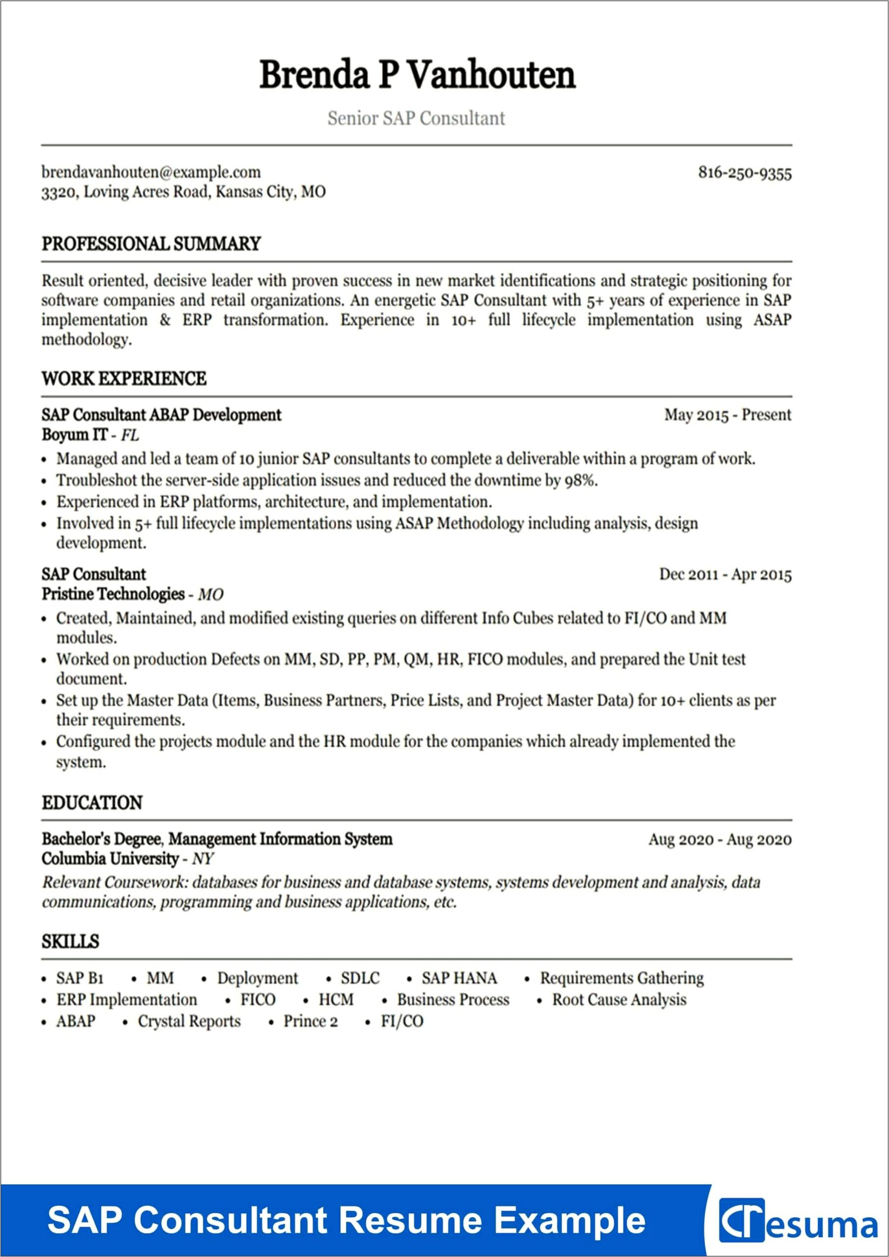 Strategy Consulting Job Resume Examples