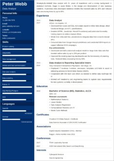 Strong Data Analyst Resume Samples