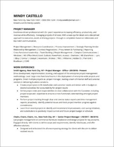 Summary For Project Management Resume