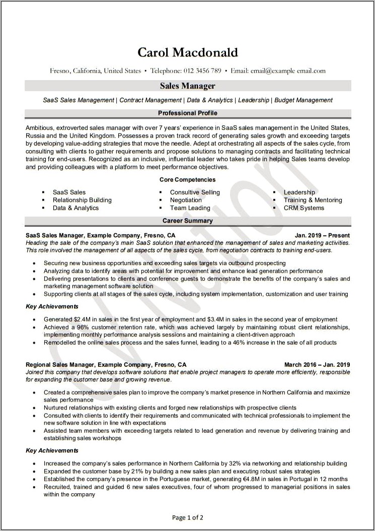 Summary For Sales Manager Resume