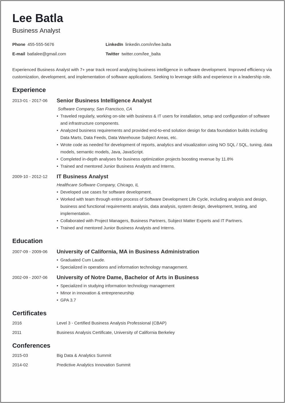 Technical Business Analyst Resume Example