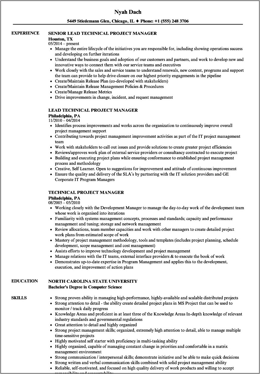 Technical Project Manager Skills Resume