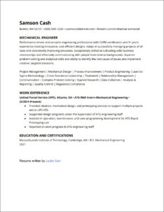 Technology Problem Solver Resume Examples