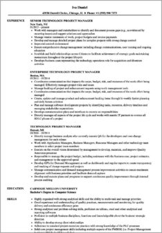 Technology Project Manager Sample Resume
