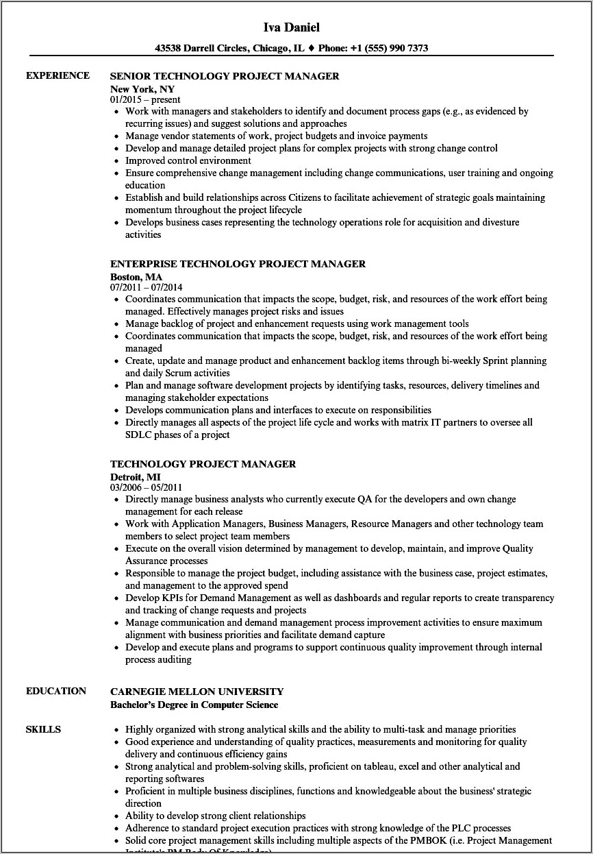 Technology Project Manager Sample Resume