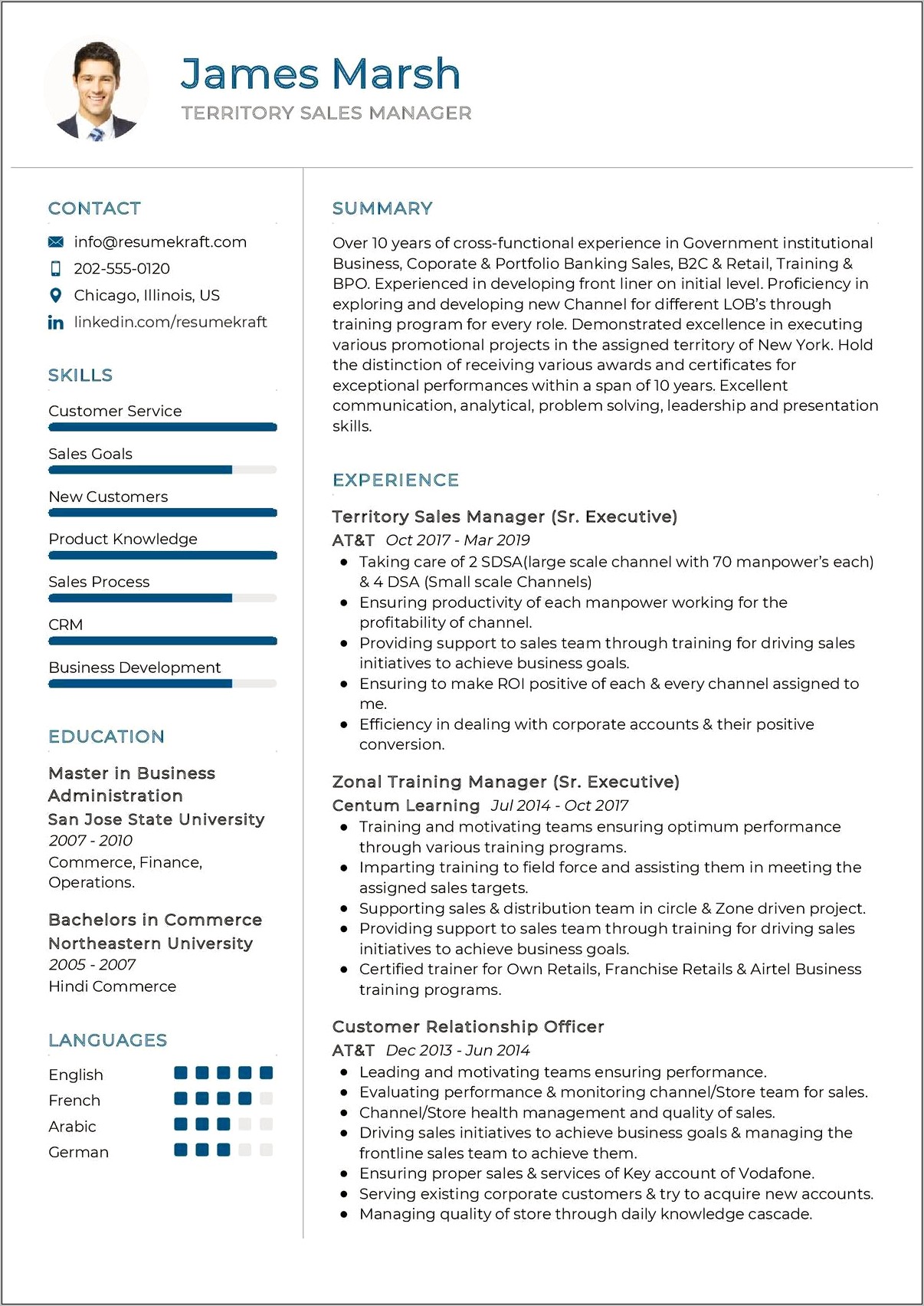 Territory Sales Manager Resume Template